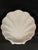 Nautical Late 20th Century Porcelain Scallop Shell Motif Salad or Dessert Dishes - Set of Eleven For Sale - Image 3 of 6
