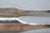 Early 19th Century Circa 1830 American Fiddle Pattern Coin Silver Sugar Tongs by J. Peters For Sale - Image 5 of 7