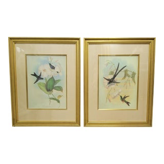 Pair of Framed Hummingbird Prints After John Gould For Sale