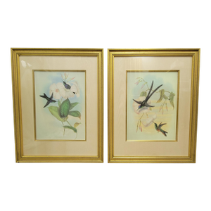 Pair of Framed Hummingbird Prints After John Gould