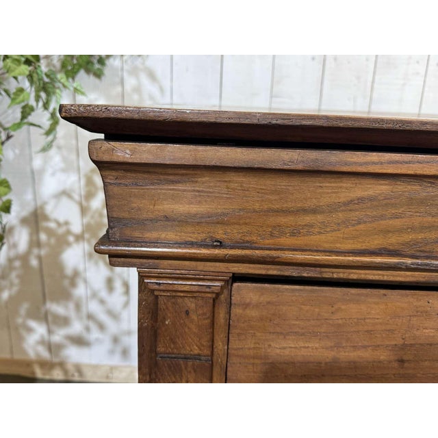19th Century 19th Century Restoration Chest of Drawers in Chestnut For Sale - Image 5 of 16