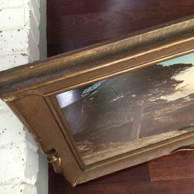 Vintage 1920s Hand Colored Photograph of the Lone Cypress in Monterey, California For Sale - Image 4 of 12