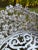 Metal White Cast Iron Grapevine Antique Victorian Outdoor Garden Furniture Suite-Set of 5 For Sale - Image 7 of 13