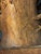 This Austrian art nouveau bust is from the Reissner, Stellmacher& Kessel RStK/Amphora factory in Turn-Teplitz. It is...