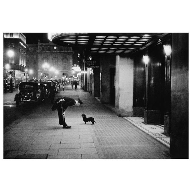'Commissionaire's Dog' Unframed Archival Pigment Print For Sale