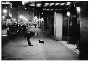 'Commissionaire's Dog' Unframed Archival Pigment Print