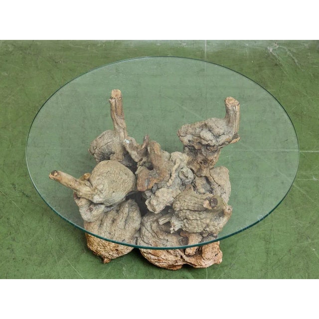 Petrified 1960s Brown Wood Coffee Table Glass Top For Sale In Los Angeles - Image 6 of 11