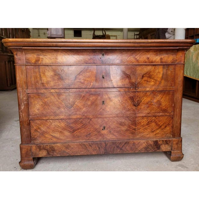 Wood Louis Philippe Walnut Chest of Drawers, 1830s For Sale - Image 7 of 7
