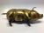 Mid Century Brass Piggy Bank For Sale In Chicago - Image 6 of 10