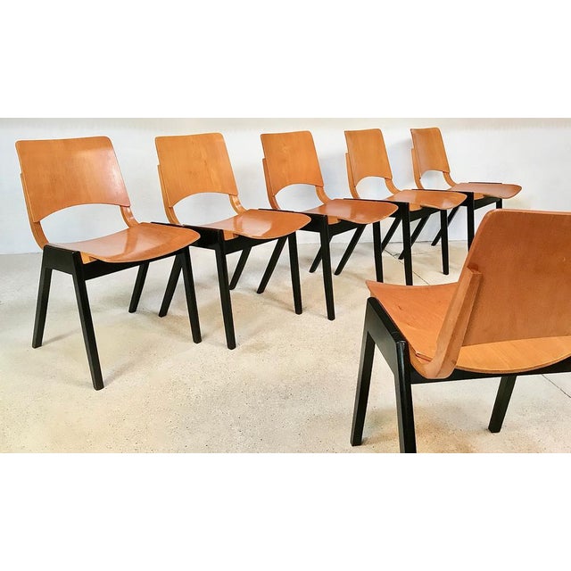 Model P7 Chairs by R. Rainer for Pollak, Set of 6 For Sale - Image 4 of 18