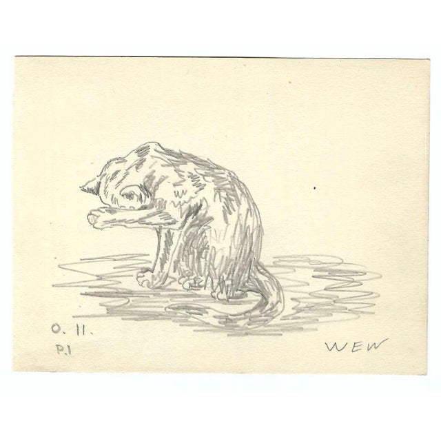 1943 drawing on paper of a kitten by Devon, UK artist William E. Wood. Signed lower right. Combined shipping available,...