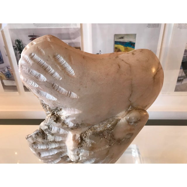 Wonderful abstract fossilized stone sculpture on a beveled lucite block base. The color is an offwhite with pink and gray...