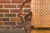 Hickory Manufacturing Company Vintage Old Hickory Hoop Settee with Woven Rattan Back and Seat For Sale - Image 4 of 12