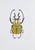 Contemporary Juris Utans, Yellow Stinger Beetle, 2021, Mixed Media on Paper For Sale - Image 3 of 3