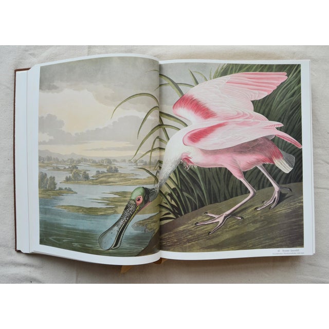 Animal Skin 1981 Signed Audubon's Birds of America: The Audubon Society Baby Elephant For Sale - Image 7 of 18