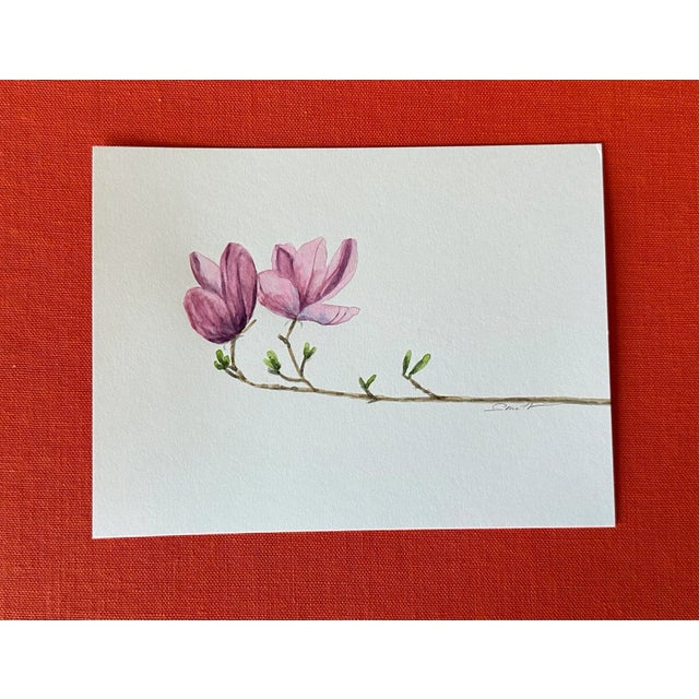 Nancy Smith Signed Original Watercolor Botanical "Magnolia" For Sale - Image 4 of 4