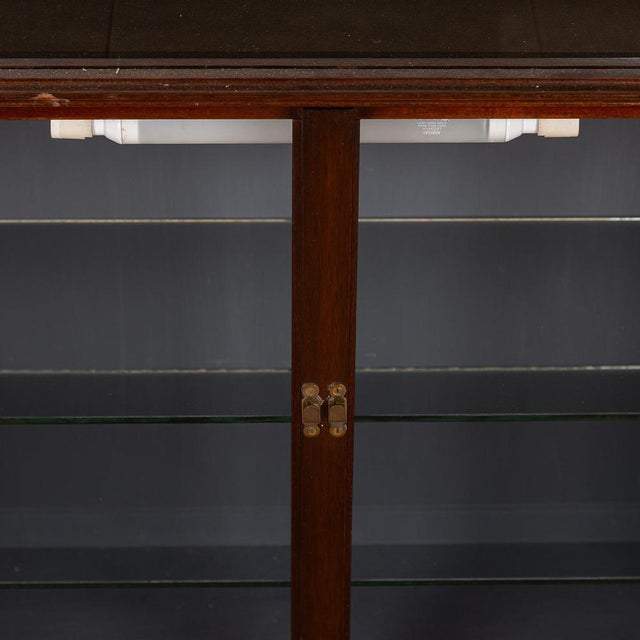 20th Century Mahogany Display Cabinet, 1920s For Sale - Image 13 of 15