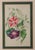 Lessons from the Vegetable World: Robert Mackenzie Stark Botanical Prints 1858 This pair of botanical prints was created...