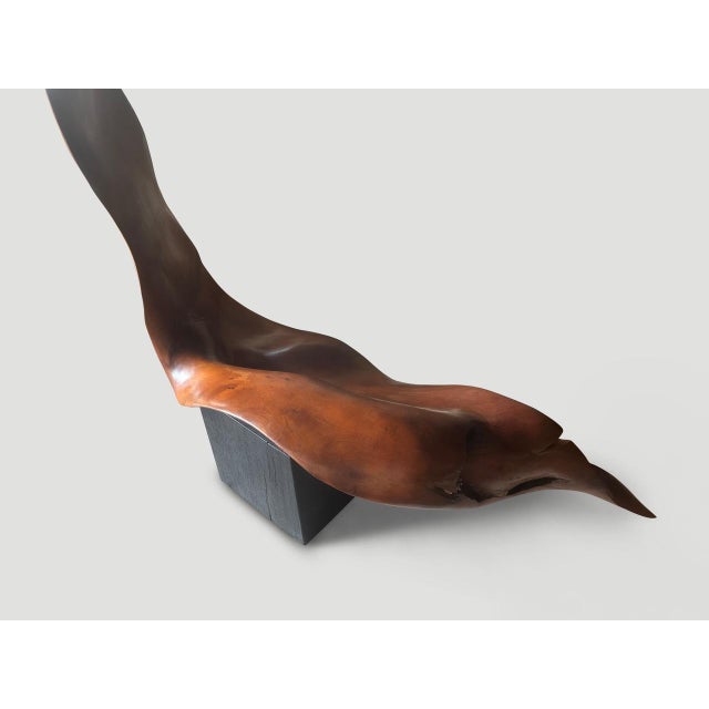 Contemporary Andrianna Shamaris Mahogany Wood Sculptural Chair or Art Piece For Sale - Image 3 of 18