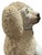 Antique 19th Century English Staffordsire Ceramic Poodle For Sale - Image 9 of 12