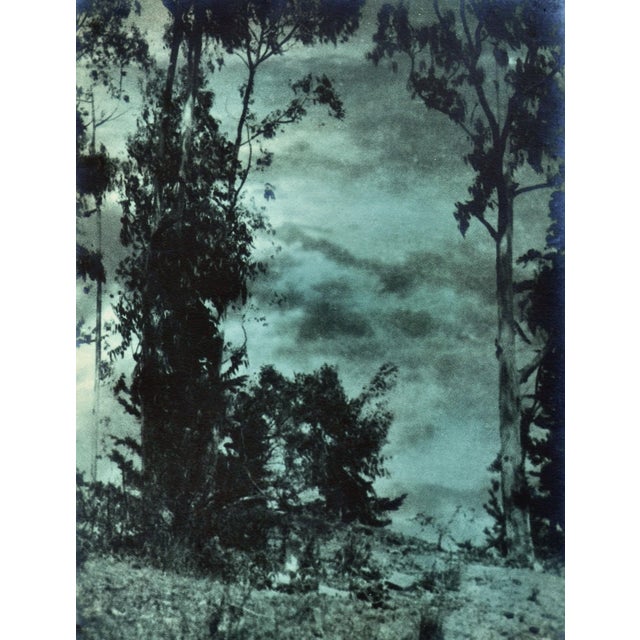 American Early 20th Century Photograph Landscape - Looking Through the Sky by Sigismund Blumann For Sale - Image 3 of 6