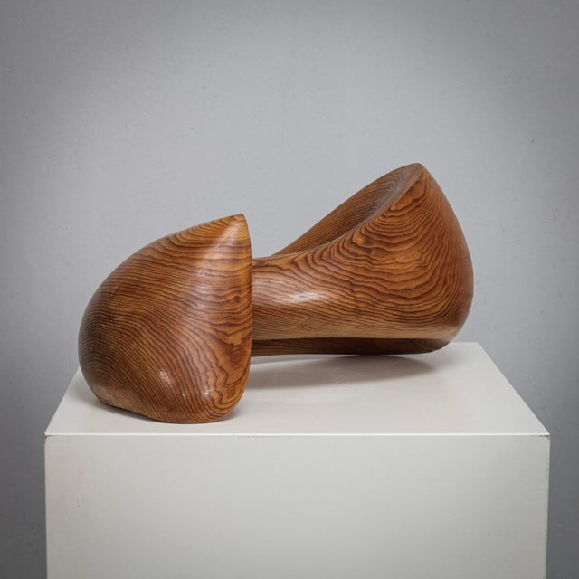 Ineke Van Zuuren, Flying Solo Organic Sculptural Form, 1970s, Pine For Sale - Image 4 of 8