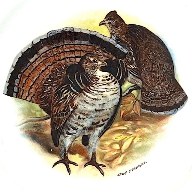 1940s Vintage Theodore Haviland Porcelain Game Bird Plates by Edwin Megargee - Set of Six For Sale - Image 5 of 14