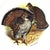 1940s Vintage Theodore Haviland Porcelain Game Bird Plates by Edwin Megargee - Set of Six For Sale - Image 5 of 14
