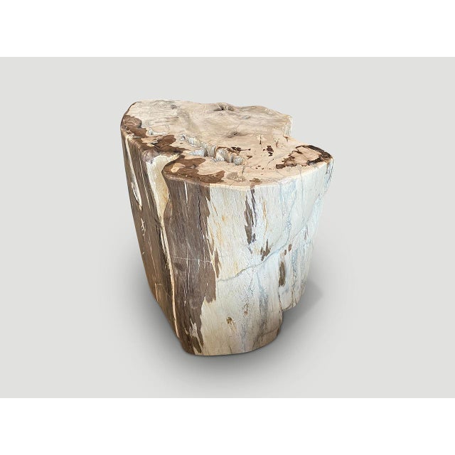 Andrianna Shamaris Ancient Petrified Wood Side Table or Coffee Table For Sale - Image 18 of 18