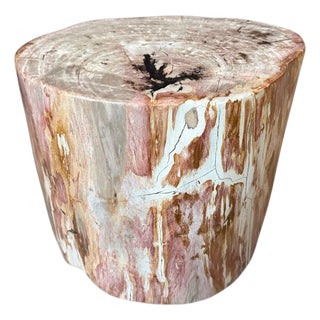 Andrianna Shamaris Coral Toned High Quality Petrified Wood Side Table For Sale