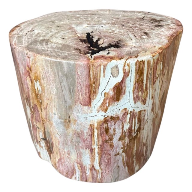 Andrianna Shamaris Coral Toned High Quality Petrified Wood Side Table For Sale