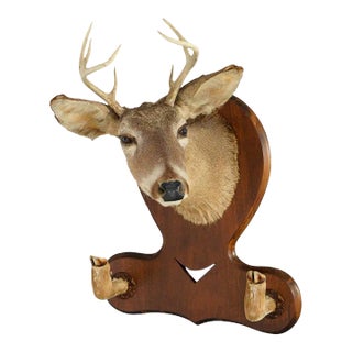 Antique Deer Mount Hall Hat Rack Circa 1930 For Sale