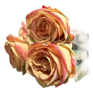 Traditional Rose Stems For Sale