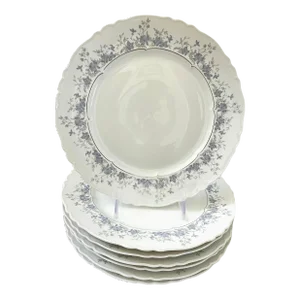 Porcelaine De Limoges Courette Dinner Plates Set of 7. Haviland France