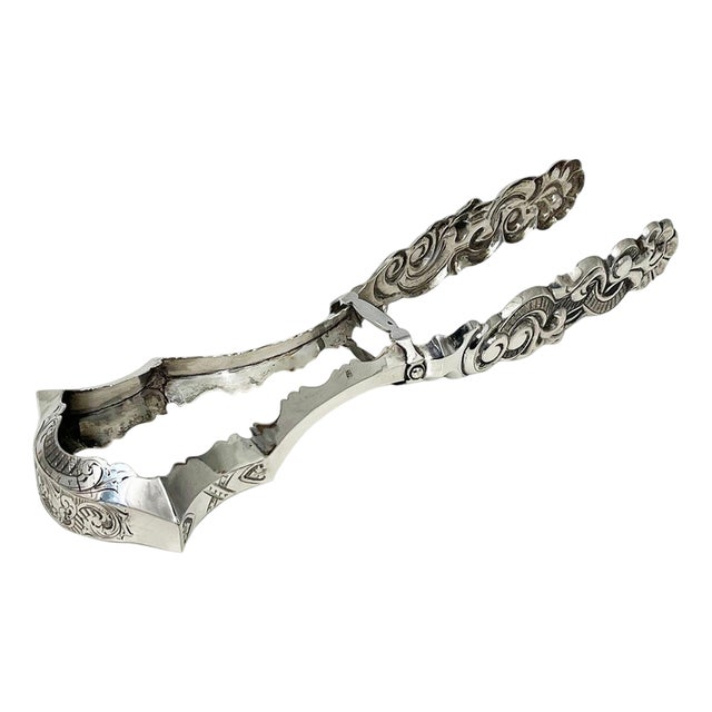 Dutch Silver Asparagus Tongs by Antonius Hendrikus der Kinderen, 1853 For Sale