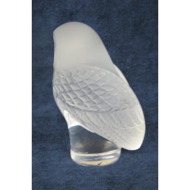 Lalique France Chouette Owl Figurine Frosted and Clear Crystal Paperweight 5198b For Sale - Image 13 of 16