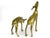 Mid 20th Century Mid 20th Century Brass Buck Deer Animal Figurines - A Pair For Sale - Image 5 of 6