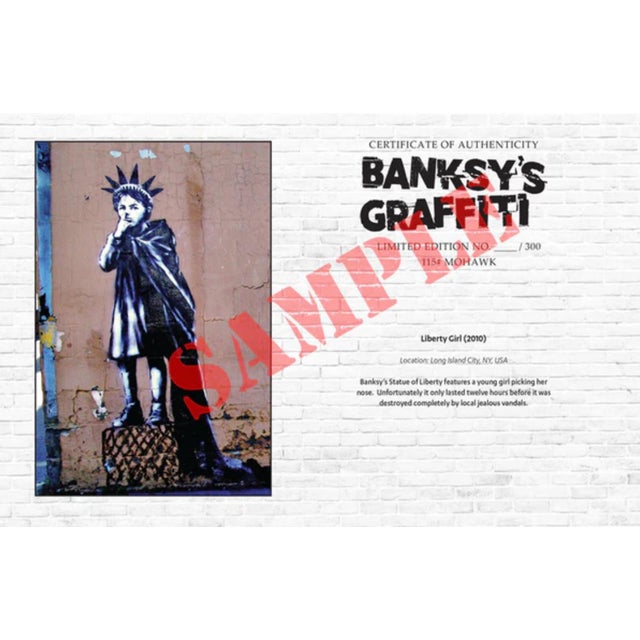 Street Art Banksy's Graffiti Art "Seagull Riding a Dumpster" Limited Edition Lithographic Print For Sale - Image 3 of 9