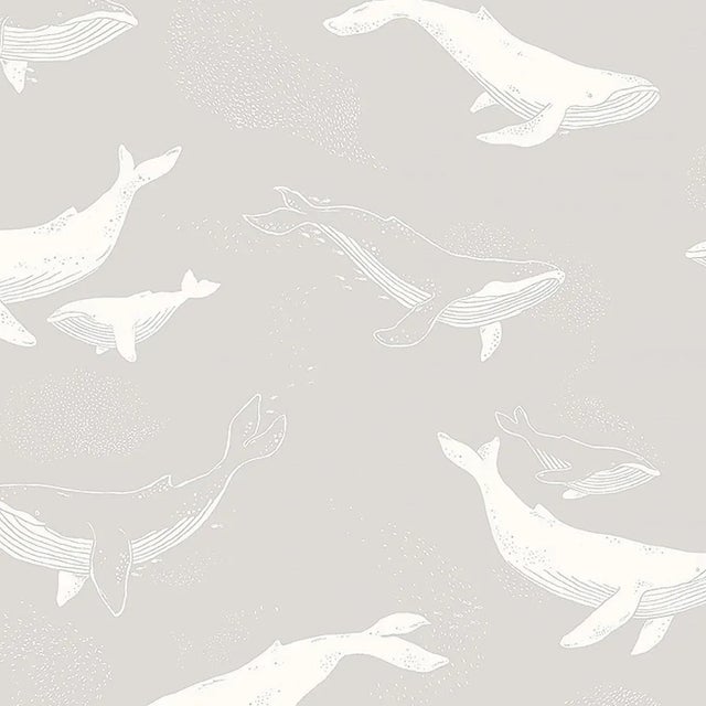 Sample - Borastapeter Whales Wallpaper in Grey For Sale