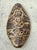 Neoclassical Vintage Italian Scagliola Artisan Pigmented Plaster Turtle Shell For Sale - Image 3 of 14