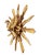 Superb large European Holy spirit / wall art ,This hand-carved wood sculpture is Composed of two pieces, the lovely dove...