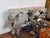 Phillips Collection Freform Console Table, Silver Leaf For Sale In San Francisco - Image 6 of 12