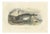After Édouard Traviès, The Sperm Whale, 1840, Hand-Colored Engraving For Sale