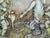 Glass Anthony Palmer, Brightling Beaters, 20th Century, Watercolor on Paper, Framed For Sale - Image 7 of 14