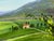 Textile Jennifer Vranes “Heart of Chianti” Three Panel Landscape Original Painting For Sale - Image 7 of 12