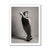 Contemporary Guy Sargent, The Dancer I, Archival Pigment Print For Sale - Image 3 of 5