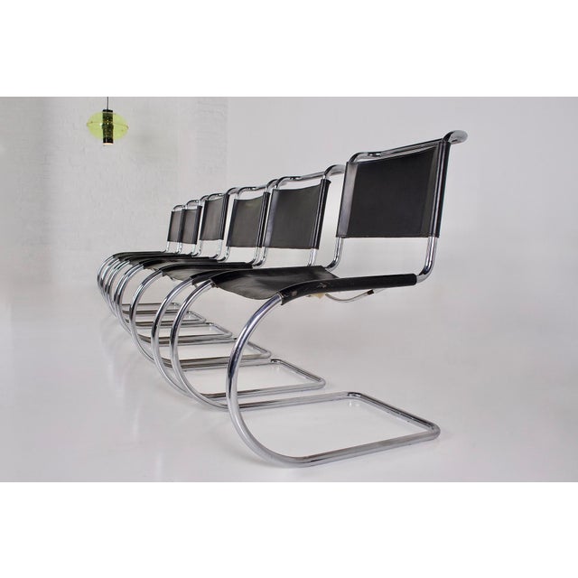 Mid-Century Modern MR 10 Chairs by Mies van der Rohe for Thonet, 1960s, Set of 6 For Sale - Image 3 of 16