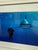 Brian Skerry Sharks on Assignment Great White Photograph, Framed For Sale - Image 11 of 12