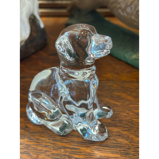 Waterford Waterford Crystal Sitting Labrador Dog Figurine For Sale - Image 4 of 8