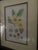 Antique Botanical Framed Print #140 Stuartia. Antique Framed Botanical Illustration of a Stuartia Flower. For Sale - Image 10 of 12